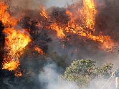 洛杉磯爆發(fā)史上最大山火，宣布進入緊急狀態(tài)